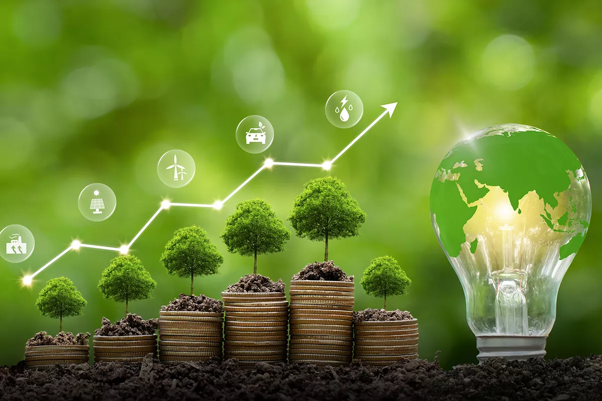 69b86ccc8ce96_Z8PGSXNigu77DDzxpGTLqa5yGeozruc2UmQBvFcn